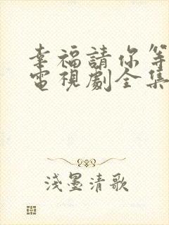 幸福请你等等我电视剧全集在线观看
