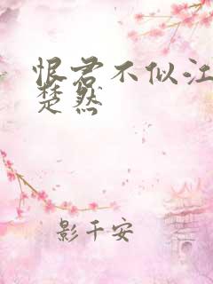 恨君不似江楼月楚然