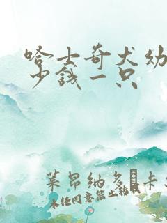 哈士奇犬幼犬多少钱一只