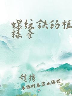 螺纹铁的植物怎样养