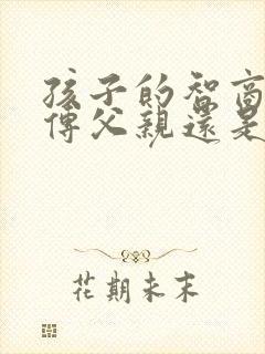 孩子的智商是遗传父亲还是母亲