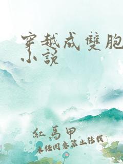 穿越成双胞胎的小说