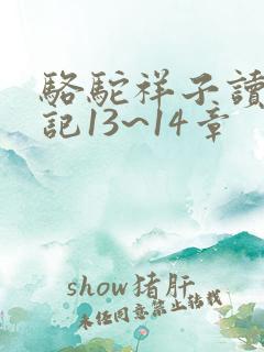 骆驼祥子读书笔记13~14章