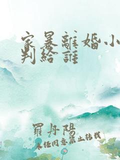 家暴离婚小孩会判给谁