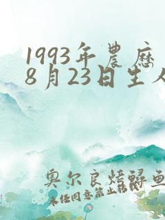 1993年农历8月23日生人的八字命理