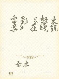 电影《怒火·重案》在线观看