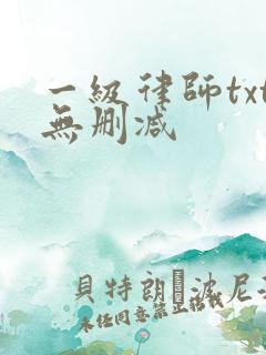 一级律师txt无删减