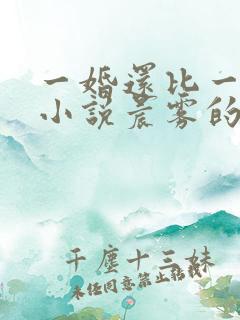 一婚还比一婚高小说晨雾的光
