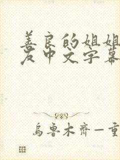 善良的姐姐的朋友中文字幕