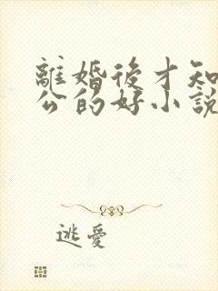 离婚后才知道老公的好小说
