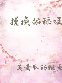摸操插舔吸