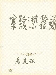 官路:权势滔天宁欣小说阅读