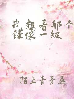 我想看那个黄色录像一级