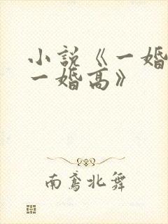 小说《一婚还比一婚高》