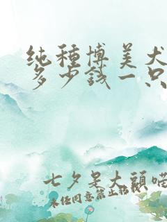 纯种博美犬大约多少钱一只