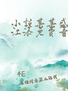小说某某盛望/江添免费看