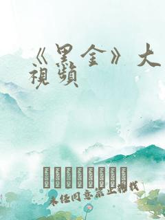 《黑金》大尺度视频