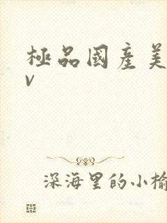 极品国产美女av