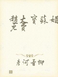 赵大宝苏媚小说免费