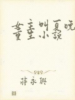 女主叫夏晚晚的重生小说