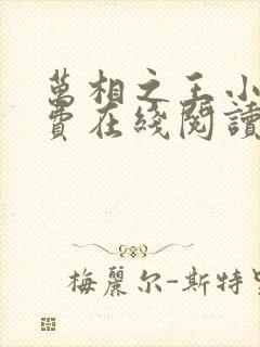 万相之王小说免费在线阅读完整版