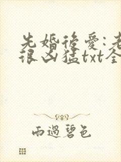 先婚后爱:老公很凶猛txt全文下载