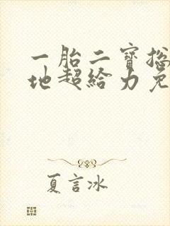 一胎二宝总裁爹地超给力免费阅读