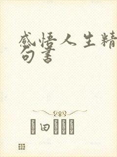 感悟人生精辟短句书