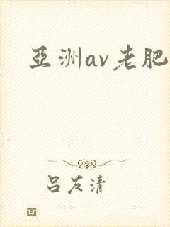 亚洲av老肥妇