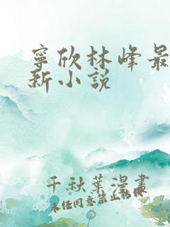 宁欣林峰最快更新小说