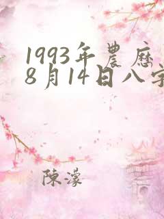 1993年农历8月14日八字