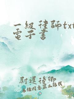 一级律师txt电子书