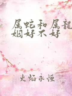 属蛇和属龙的婚姻好不好