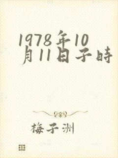 1978年10月11日子时生辰八字算命