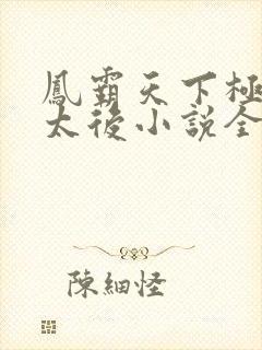 凤霸天下极品小太后小说全文免费阅读大结局
