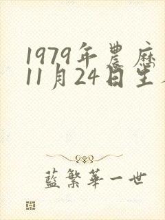 1979年农历11月24日生人八字