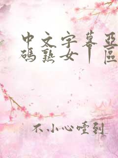 中文字幕亚洲乱码熟女丨区2区