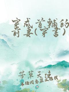 穿成首辅的炮灰前妻(穿书)