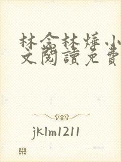 林念林烨小说全文阅读免费