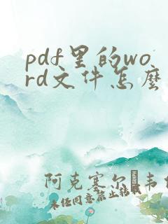 pdf里的word文件怎么打开