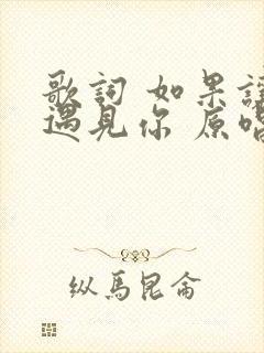 歌词 如果让我遇见你 原唱