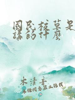 国民校草是女生讲的什么