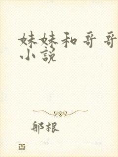 妹妹和哥哥做的小说