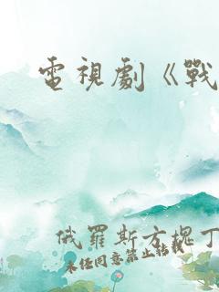 电视剧《战毒》