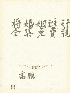 将婚姻进行到底全集免费观看