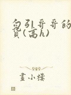 勾引哥哥的小骚货(高h)