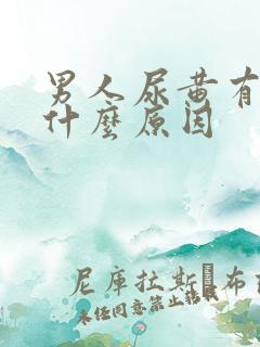 男人尿黄有沫是什么原因