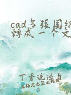 cad多张图纸转成一个文件pdf