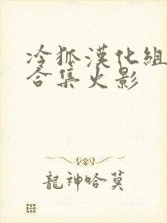 冷狐汉化组游戏合集火影