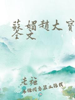 苏媚赵大宝小说全文